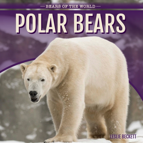 Polar Bears